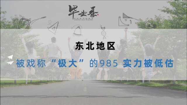 被戏称“极大”的985,实力被低估