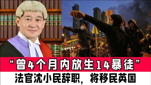 “曾4个月内放生14暴徒”港媒:法院法官沈小民辞职,将移民英国