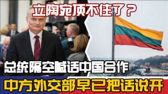 立陶宛顶不住了?总统隔空喊话中国合作,中方外交部早已把话说开