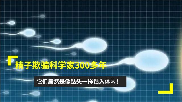 精子欺骗科学家300多年,它们居然是像钻头一样钻入体内!