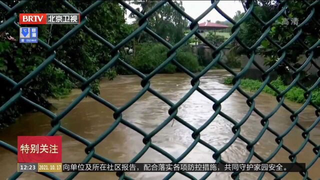 印度南部暴雨引发灾害已致多人死亡