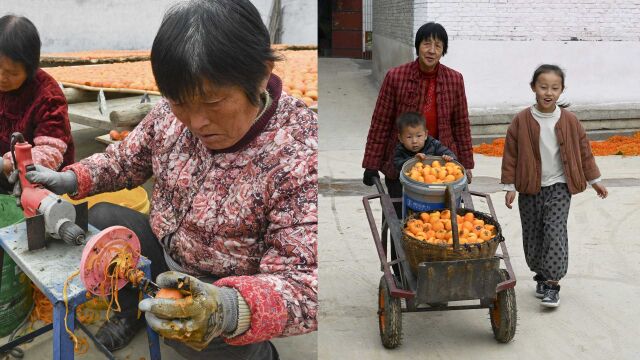 走进山村满眼金黄色,全村无一闲人,大妈手中的工具彰显农民智慧