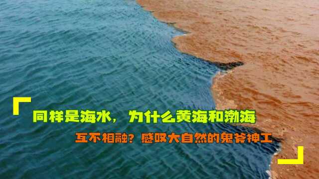 同样是海水,为什么黄海和渤海互不相融?感叹大自然的鬼斧神工