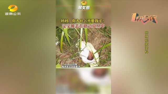 株洲被遗弃男婴盼盼最新进展:孩子一切安好 领养还需过段时间