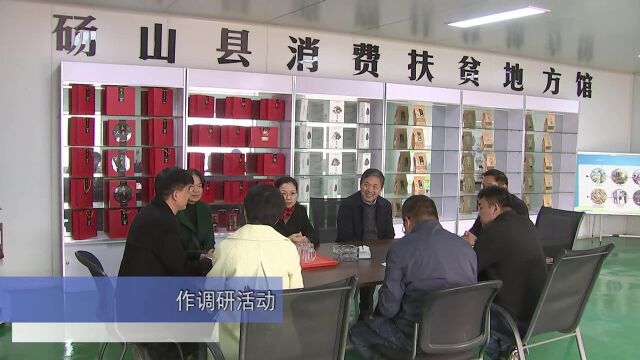 县政协开展民族宗教工作调研活动