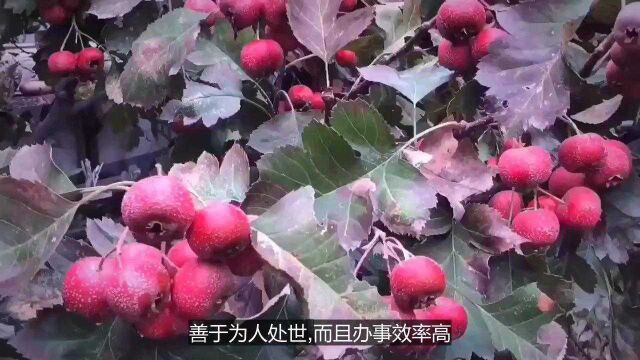 必发横财,必添丁添福!3生肖,11月4日25日接大运!