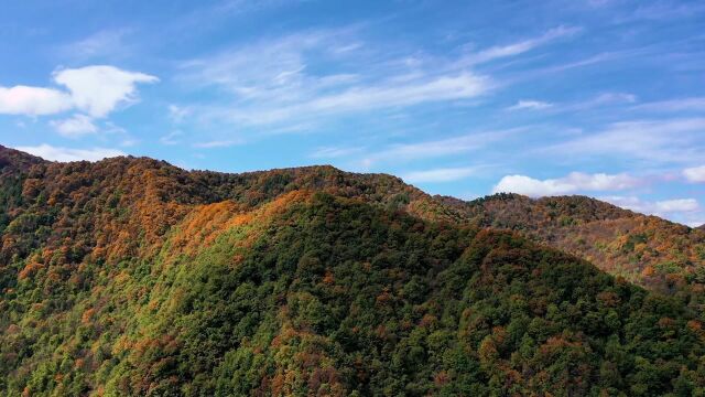 秦岭最美的峡谷青峰峡