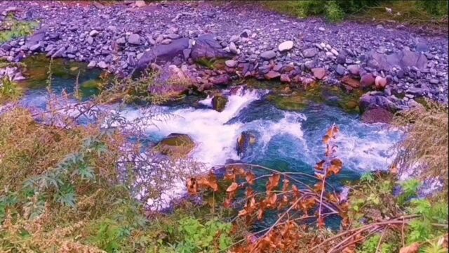 治愈系列之邀你和我一起欣赏山间溪流,一起放松秋景山林图吧!