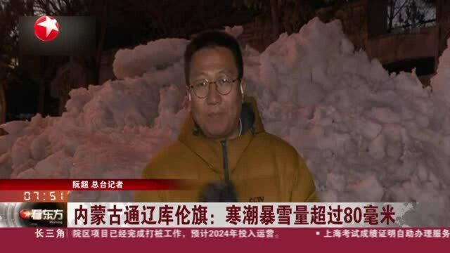 内蒙古通辽库伦旗:寒潮暴雪量超过80毫米