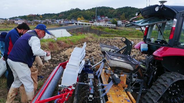 日本小麦种植:土壤深耕、深松、镇压,是抗旱保墒的重要技术措施