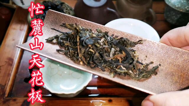 忙麓山昔归古树茶 天花板级别品鉴 藏家茶玩家茶有钱人茶