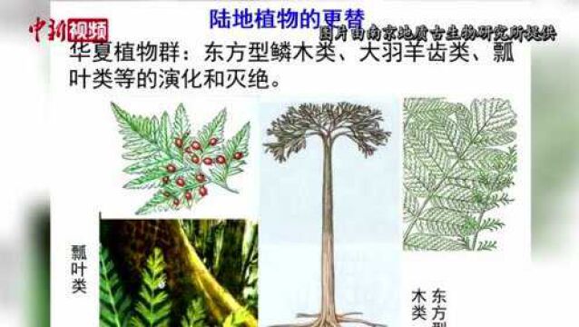 中外科研团队发现二叠纪末生物大灭绝新“凶手”