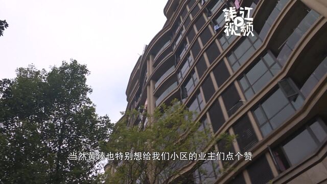 开发商曾提供200余万维修基金,业主认为这事儿该终身质保