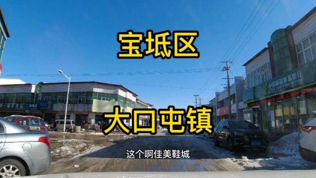 天津市宝坻区第《12》个视频,大口屯镇实地考察