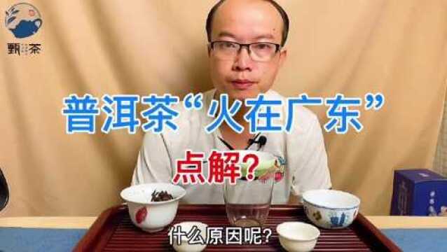 [甄茶知识]系列:普洱重镇广东