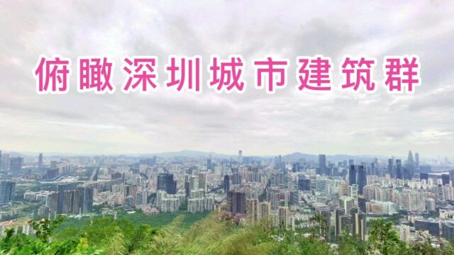 俯瞰深圳城市建筑群