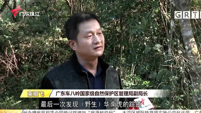 韶关始兴:车八岭建区40年 生物多样性保护见成效