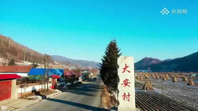 绿水青山 天赐大安——记吉林省通化市通化县大安镇