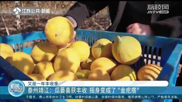 泰州靖江:瓜蒌果实喜获丰收 摇身变成致富“金疙瘩”