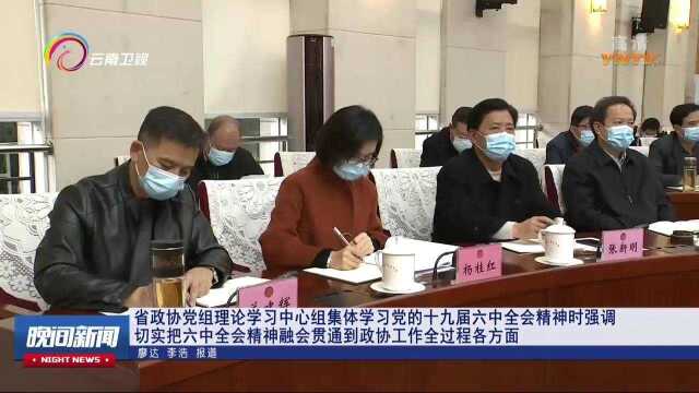 云南省政协党组理论学习中心组集体学习党的十九届六中全会精神