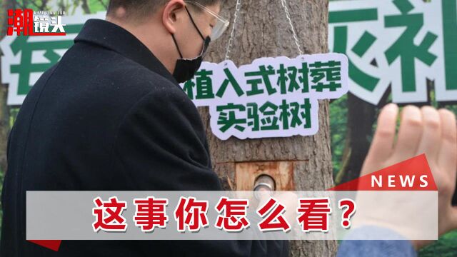 继土葬火葬后又出新型“树葬”,将骨灰放入树洞,你能接受吗?