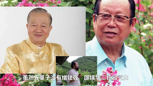 何处能找到无量子这样的易学泰斗,中国易经十大领军人物谁最好