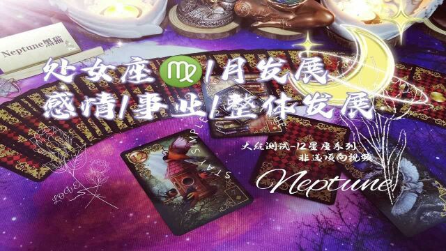 黑猫Tarot,处女座1月发展