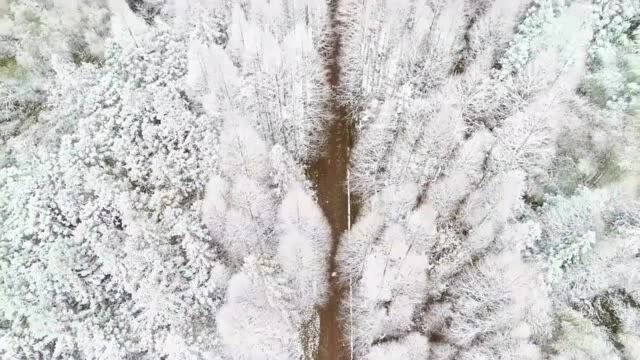 视频 | 炎陵2021年的第一场雪