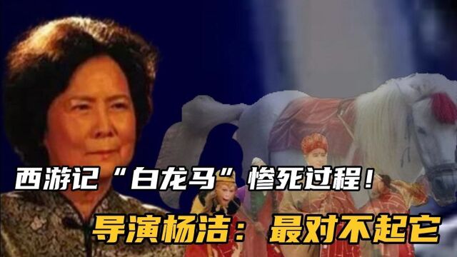 西游记“白龙马”惨死全部过程!导演杨洁:最对不起它