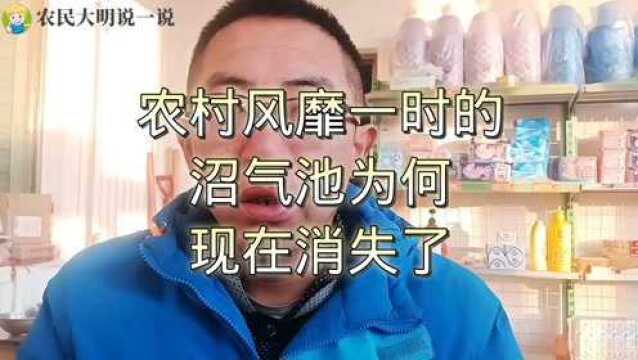 风靡一时的农村沼气池为何消失不见了