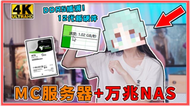 秒速1GB?组装万兆高颜值NAS,还能开设MC服务器!【科技达】