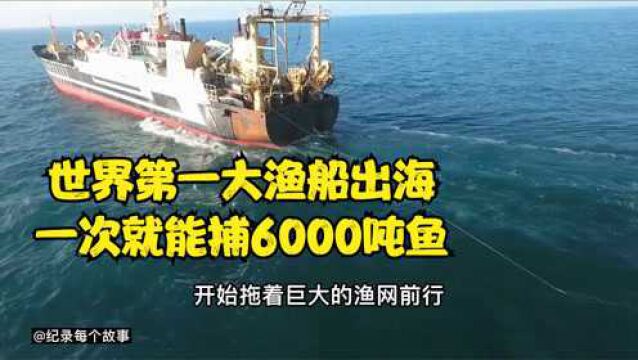 德国神仙大渔船一网下去就能捕抓30吨鲱鱼,出海一次能捕6000吨鱼