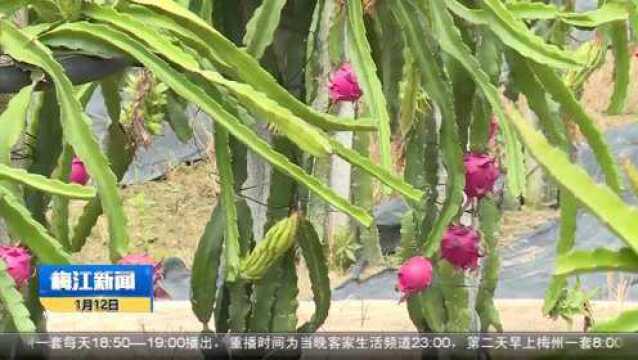 西阳镇筀竹村入选第三批省文化和旅游特色村