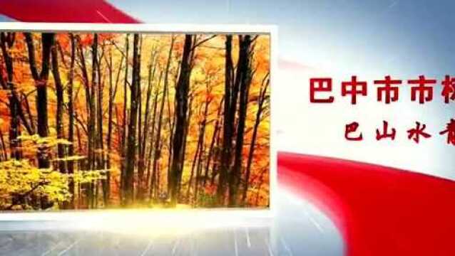 2022年四川省重点项目名单公布,巴中14个