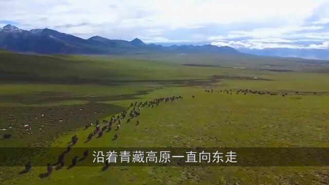 中国西南的神秘地带?横绝东西,全国一半少数民族世居于此