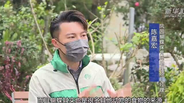 香港故事︱香港凤园:300多年保护生态的传承