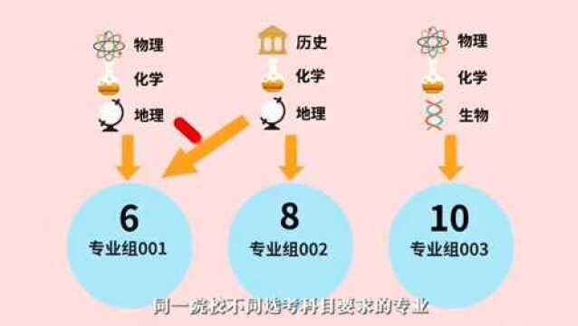 什么是院校专业组?学校是如何划分专业组的,填志愿要了解