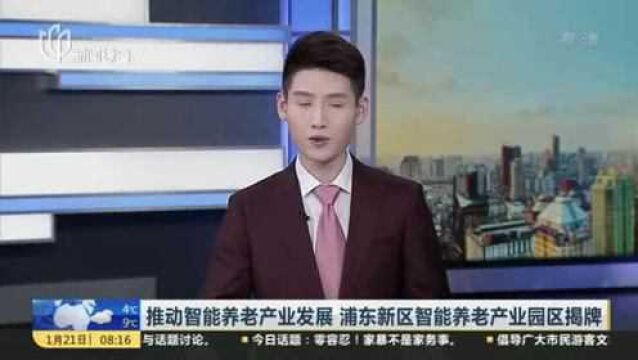 推动智能养老产业发展 浦东新区智能养老产业园区揭牌