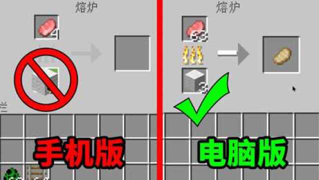 我的世界:Java与基岩版的隐藏区别!你都知道多少?