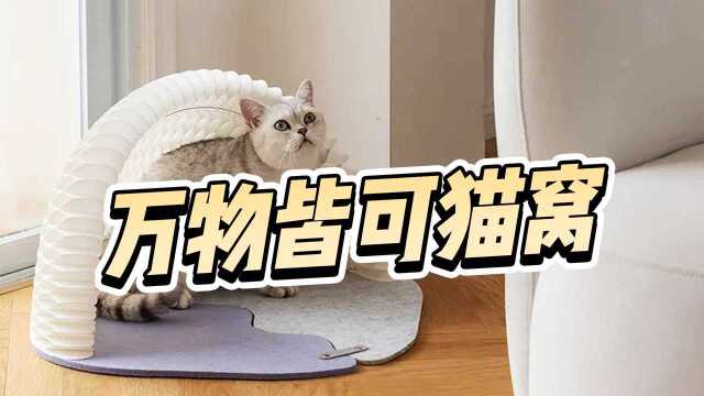 这些关于猫窝的好设计,隔壁家的猫都羡慕哭了!