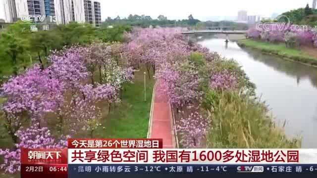 今天是第26个世界湿地日 共享绿色空间 我国有1600多处湿地公园