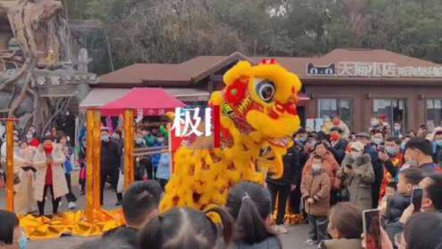 【视频】雄狮起舞送祝福 武汉人热热闹闹过春节