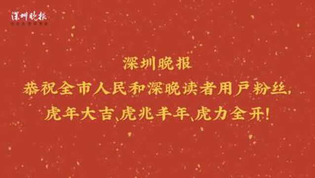 猛虎、萌虎齐拜年,深晚给您送“祝虎”啦!