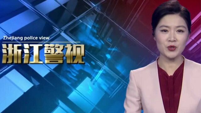 嘉兴公安:刑警年度报告已生成 致敬最美的你们!