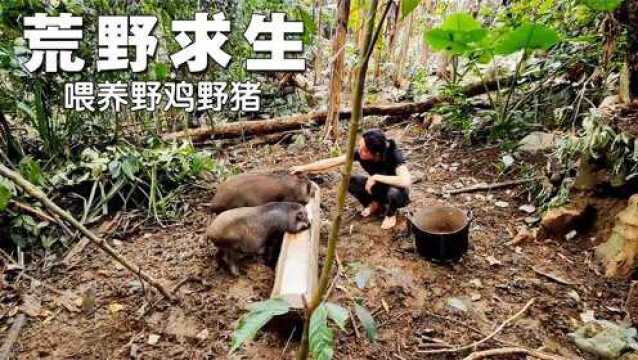 独自荒野求生,气候问题让农场的建设停滞不前,只能做些维护工作