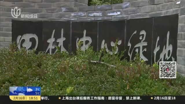 田林中心绿地规划改造 加建地下停车场惹争议