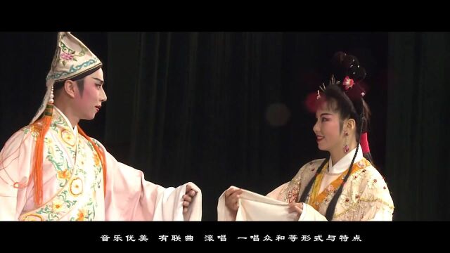 汕尾文化遗产  白字戏