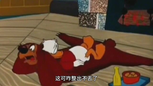 电影动画解说:躲来躲去还是自己遭罪