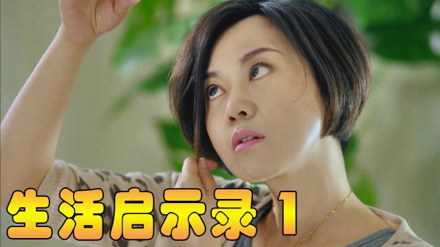 没有孩子的婚姻,真的是一地鸡毛吗?电视剧《生活启示录》