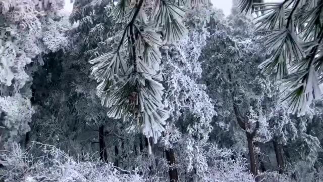 这么美的宁波雪窦山雪景,你见过吗?